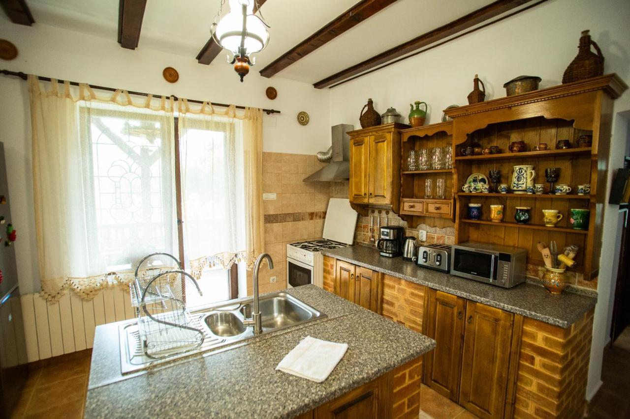 Drumul Domnisorilor C Holiday home Busteni