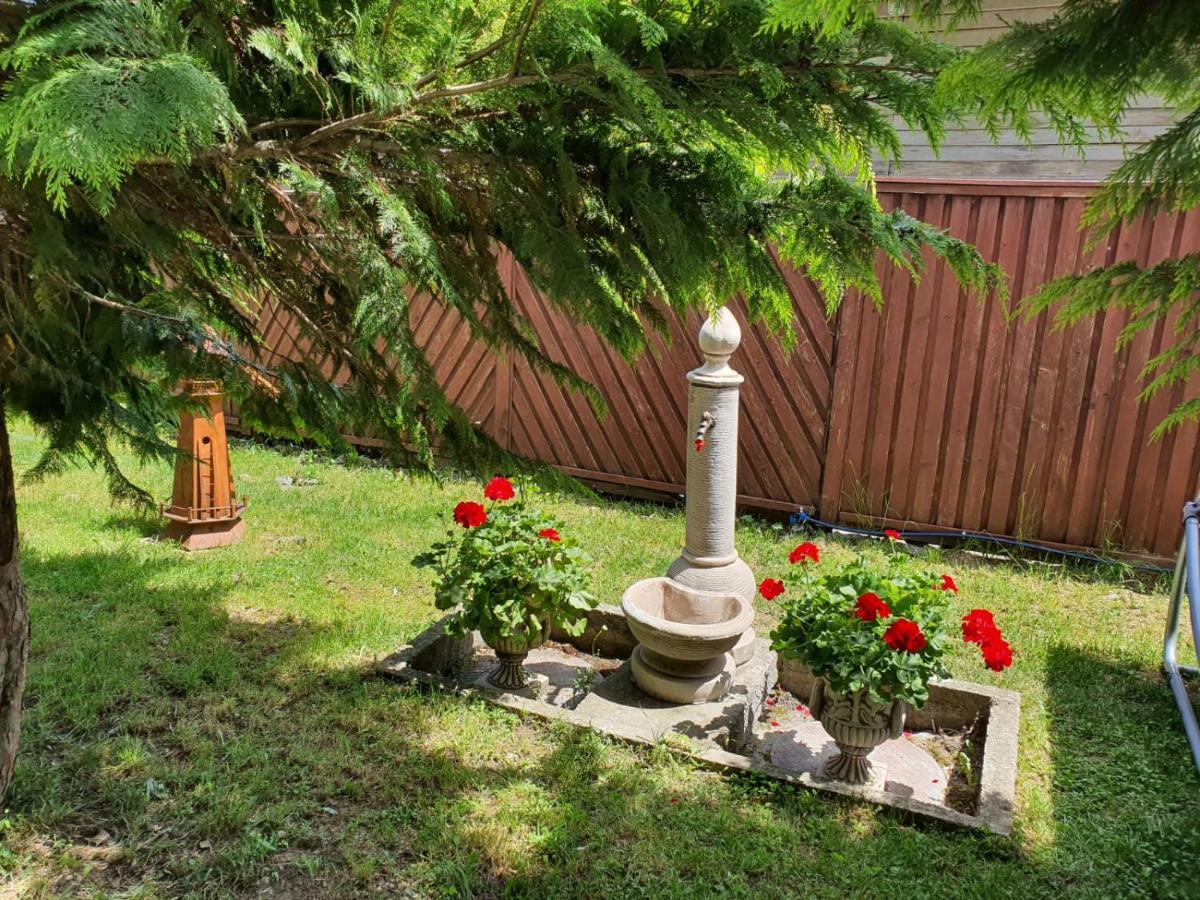 Holiday home Drumul Domnisorilor C *